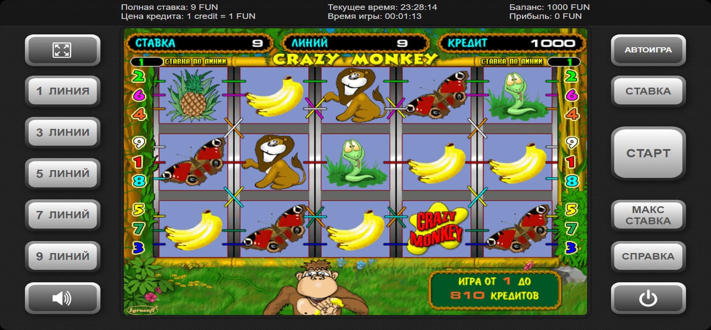 Crazy Monkey