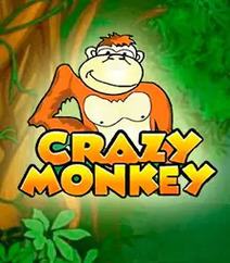 Crazy Monkey